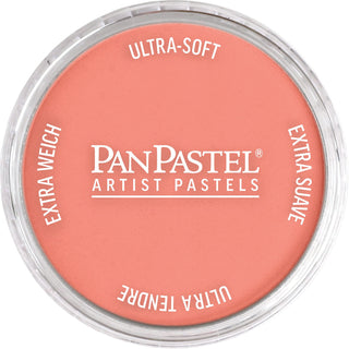 PanPastel Artists Pastels