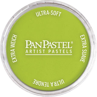 PanPastel Artists Pastels