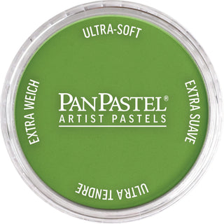 PanPastel Artists Pastels