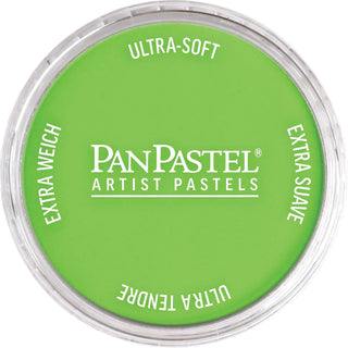 PanPastel Artists Pastels