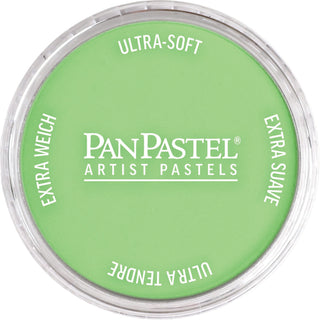 PanPastel Artists Pastels