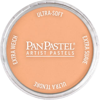 PanPastel Artists Pastels