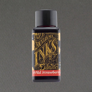 Diamine Fountain Pen Ink 30ml
