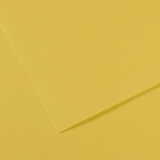 Canson Mi-Teintes Paper 50x65cm