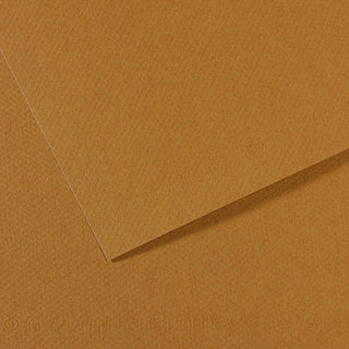 Canson Mi-Teintes Paper 55x75cm
