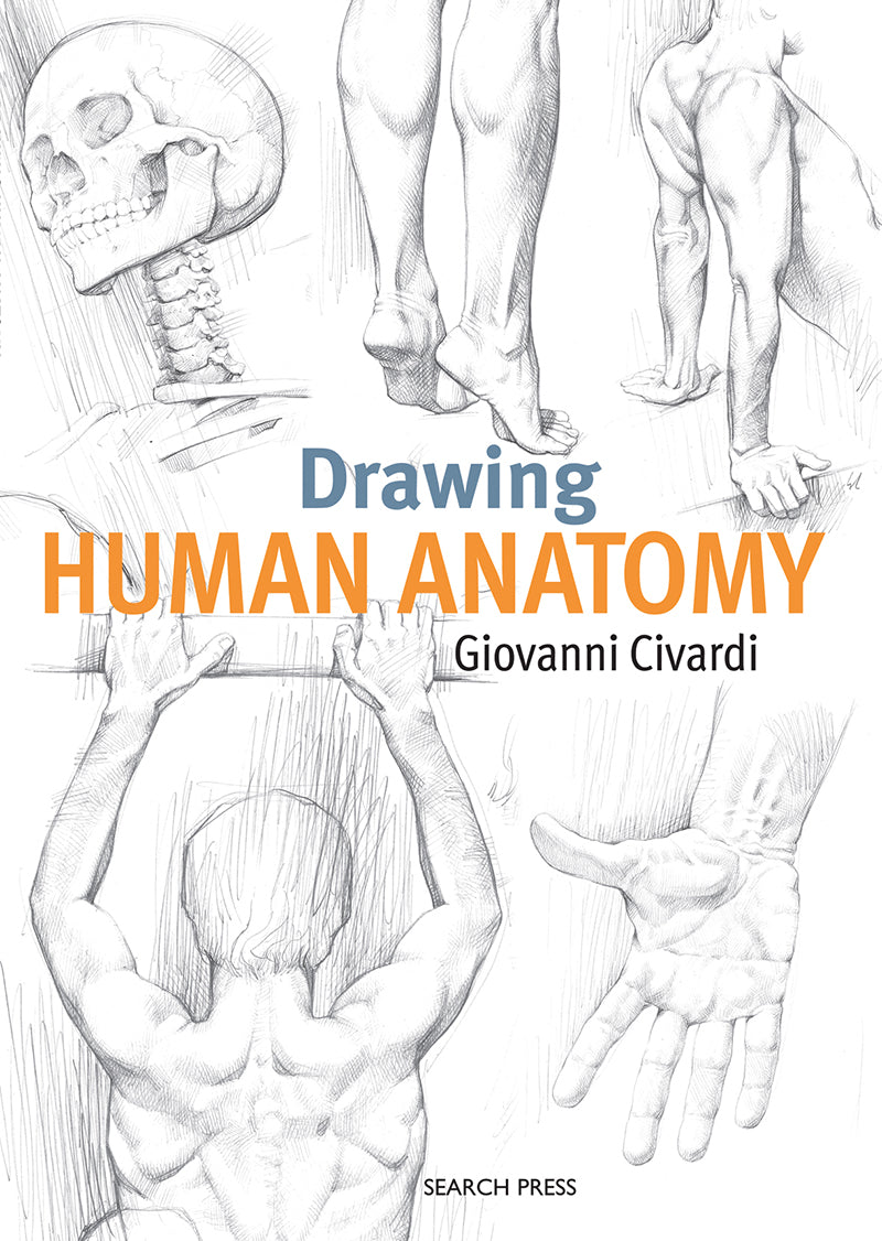 FORCE: DRAWING HUMAN ANATOMY BY MIKE MATTESI – Magnifico Beaux Arts