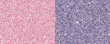 Load image into Gallery viewer, Jacquard Pearl Ex Pigment - 0.5/0.75oz Pots
